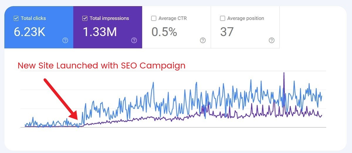 seo results